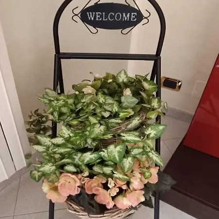 Апартаменты Casa Della Nonna Мольфетта